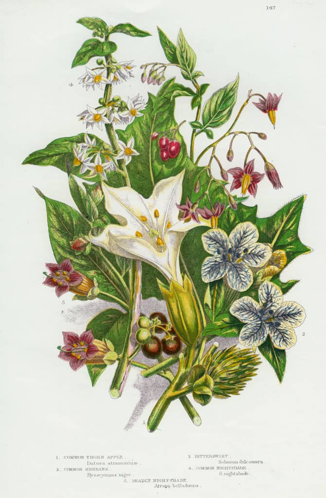 Image in article "What does millésime mean and why fragrance release year is important?"