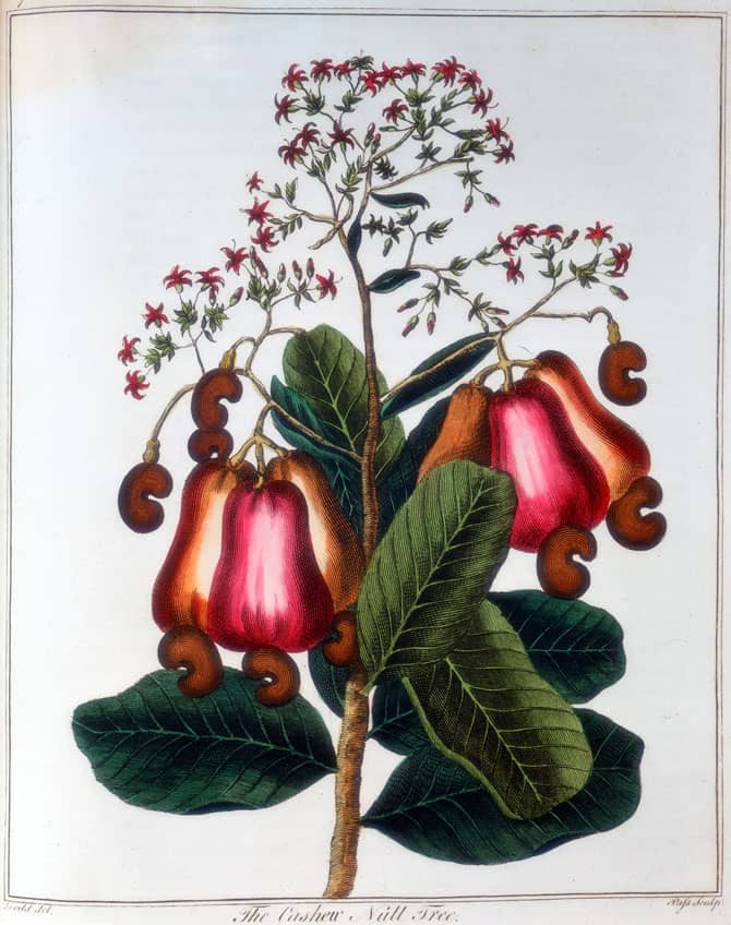 Image in article "What does millésime mean and why fragrance release year is important?"