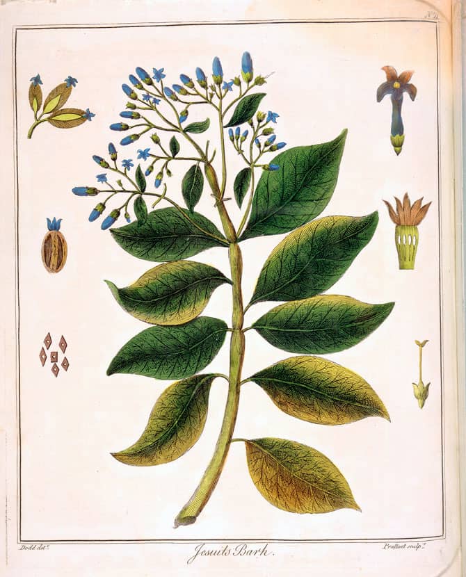 Image in article "What does millésime mean and why fragrance release year is important?"