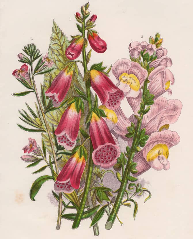 Image in article "What does millésime mean and why fragrance release year is important?"