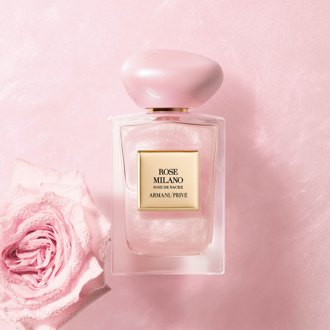 Image in article "Rose Milano Soie de Nacre"