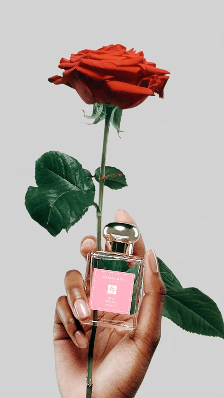 Image in article "Jo Malone has presented "Mad About The Rose""