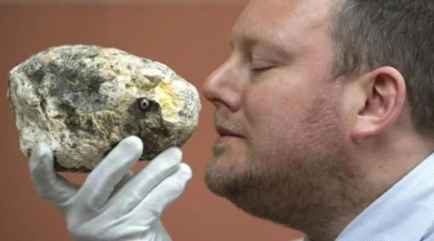 Grey Amber, ambergris